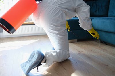 Pest Fumigation Service in Columbus, OH