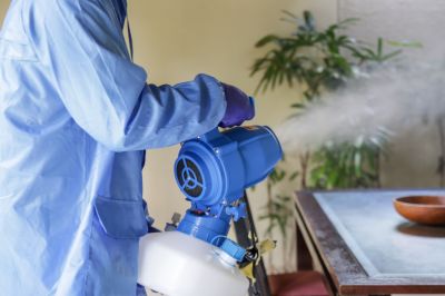 Pest Fumigation Service in Gwinnett County, GA