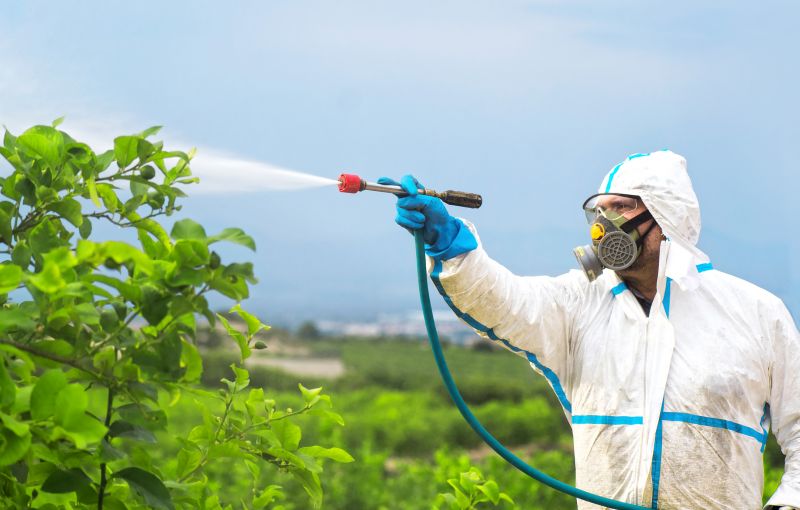 Commercial Fumigation in Long Island, NY