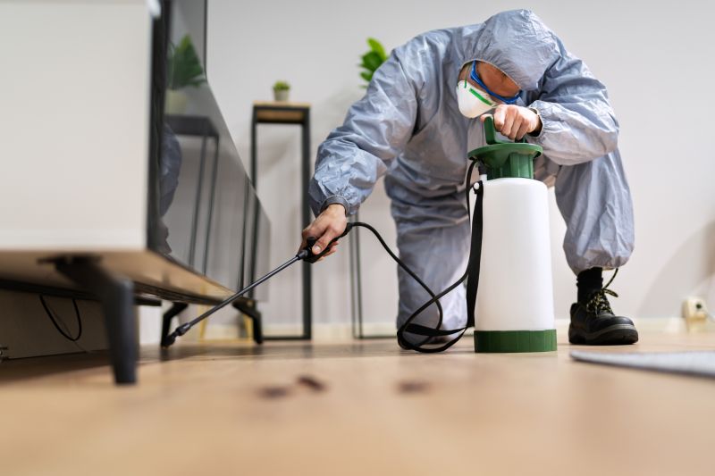 Roach Fumigation in Fort Collins, CO
