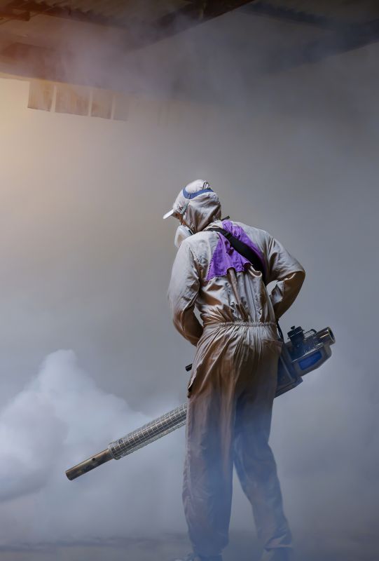 Spider Fumigation Service in Cumming, GA